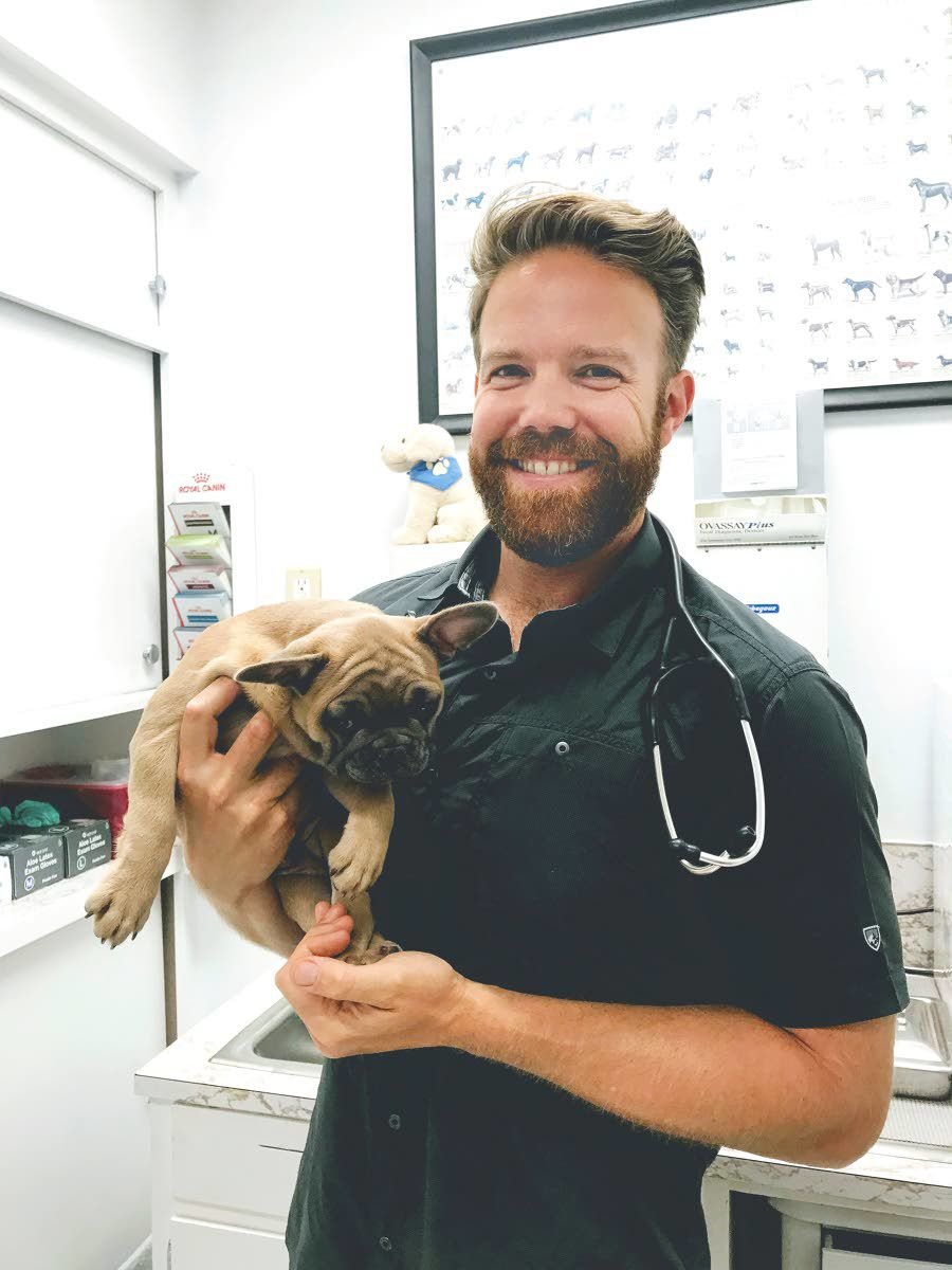 seth dog and cat clinic