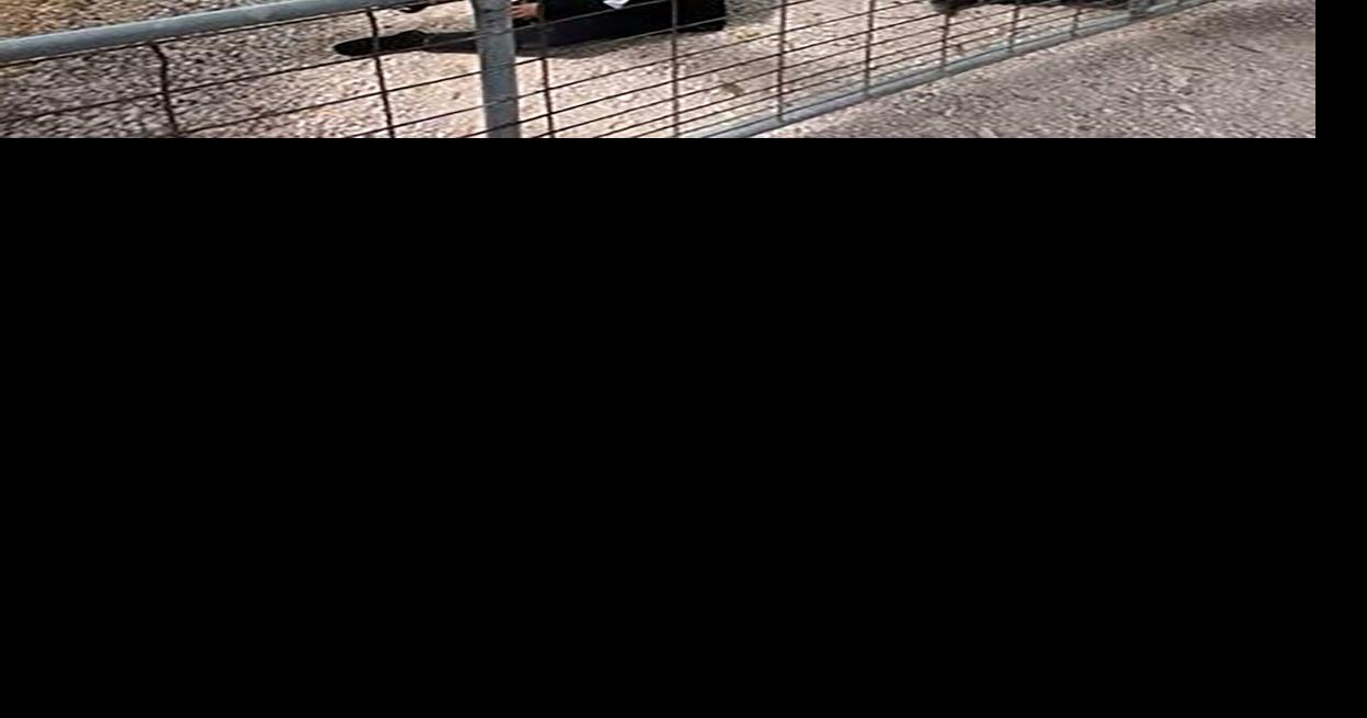 84 undocumented migrants rescued in Texas from semi-truck, according to ...