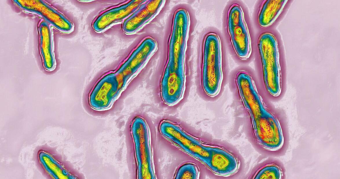 Counterfeit Botox injections linked to illness, hospitalization in two states - Vimarsana News