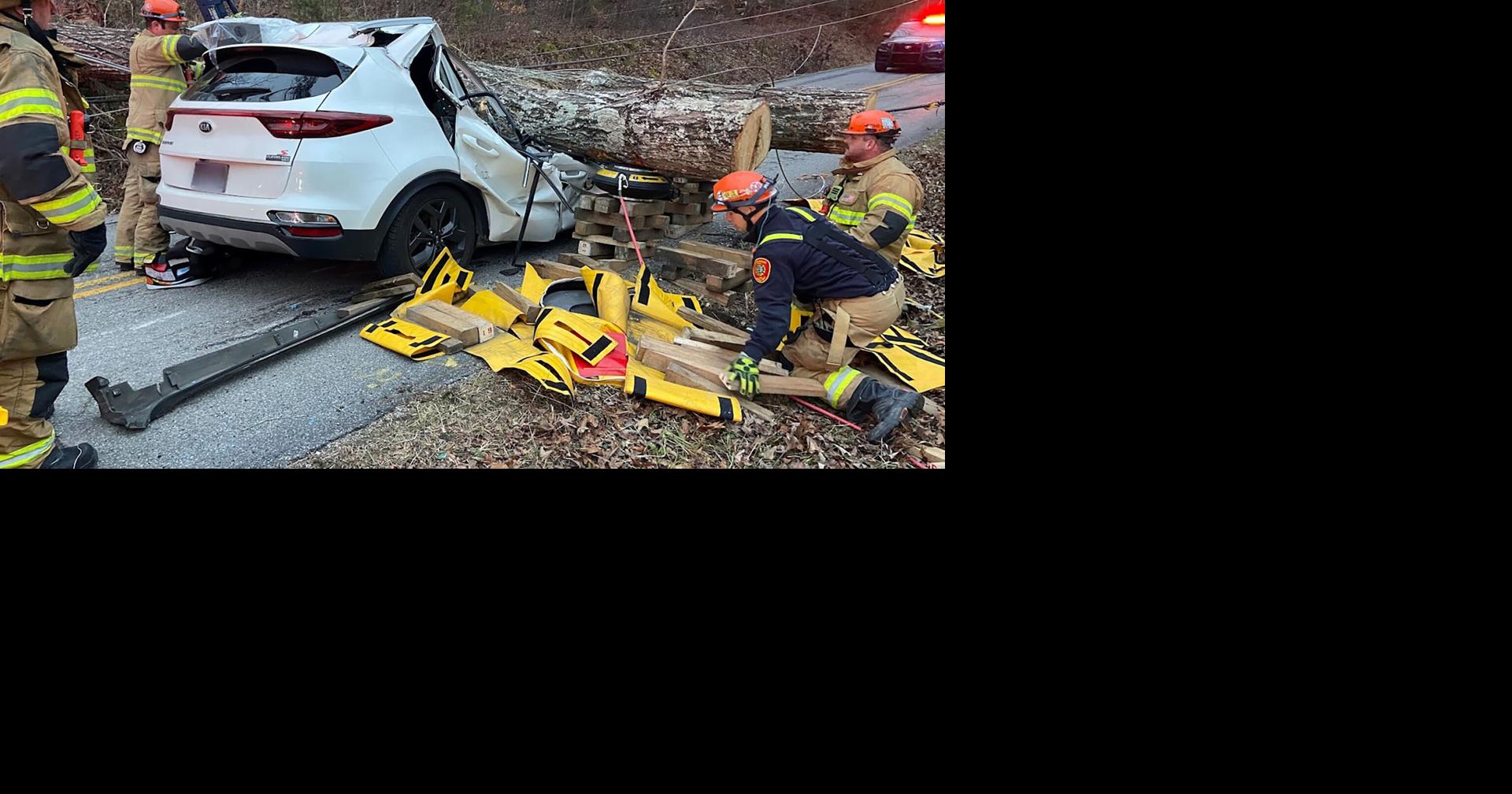 Fallen tree traps woman and child in vehicle | Local News | local3news.com