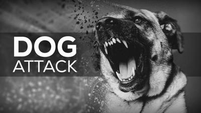 70-year-old Tennessee woman found dead after dog attack | Local News ...