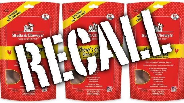 Stella and chewy's cat food clearance recall