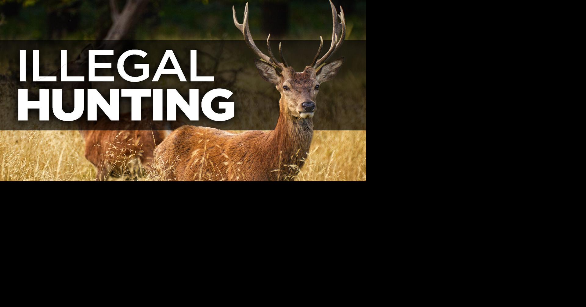 Bradley County man faces 63 charges for illegal hunting | Local News ...