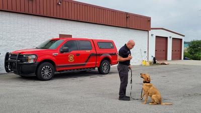 Meet Walker County's New Accelerant Detection Canine Team