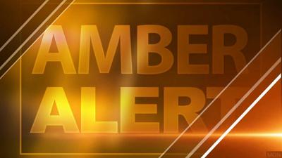 New TN bill introduced to expand amber alerts | Local News | local3news.com