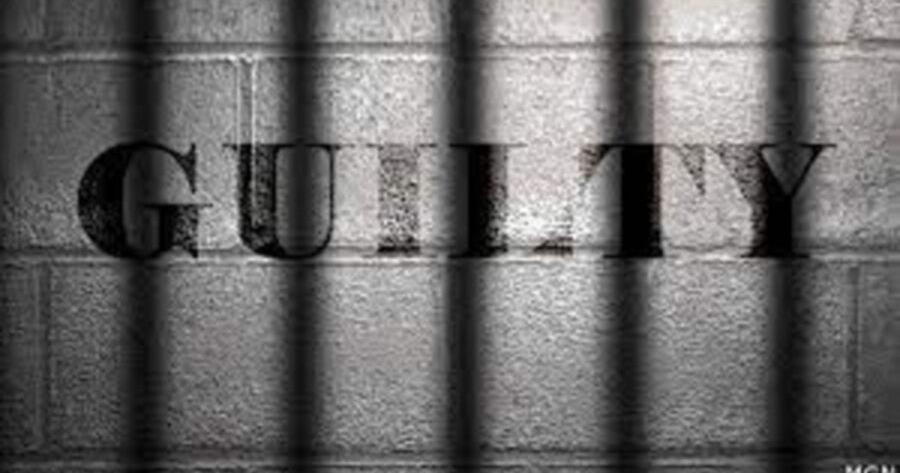 Bradley County woman pleads guilty to animal cruelty charges | Local ...