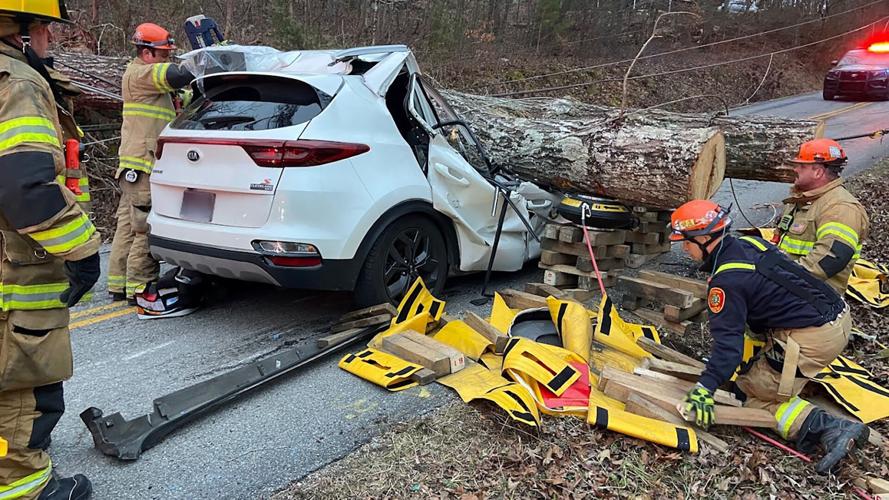 Fallen tree traps woman and child in vehicle | Local News | local3news.com