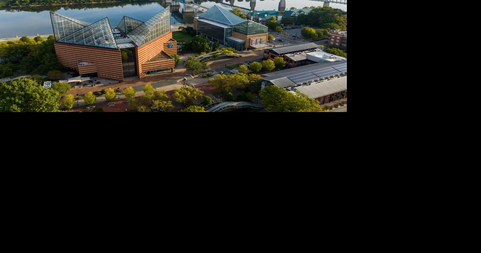 Tennessee Aquarium voted 3rd best in the nation in USA Today competition