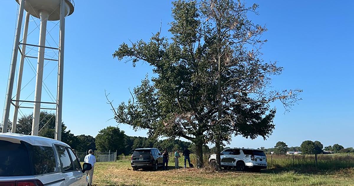 Coverage image for: UPDATE: Witnesses describe ‘horrible’ plane crash scene that killed pilot near Fort Payne, AL