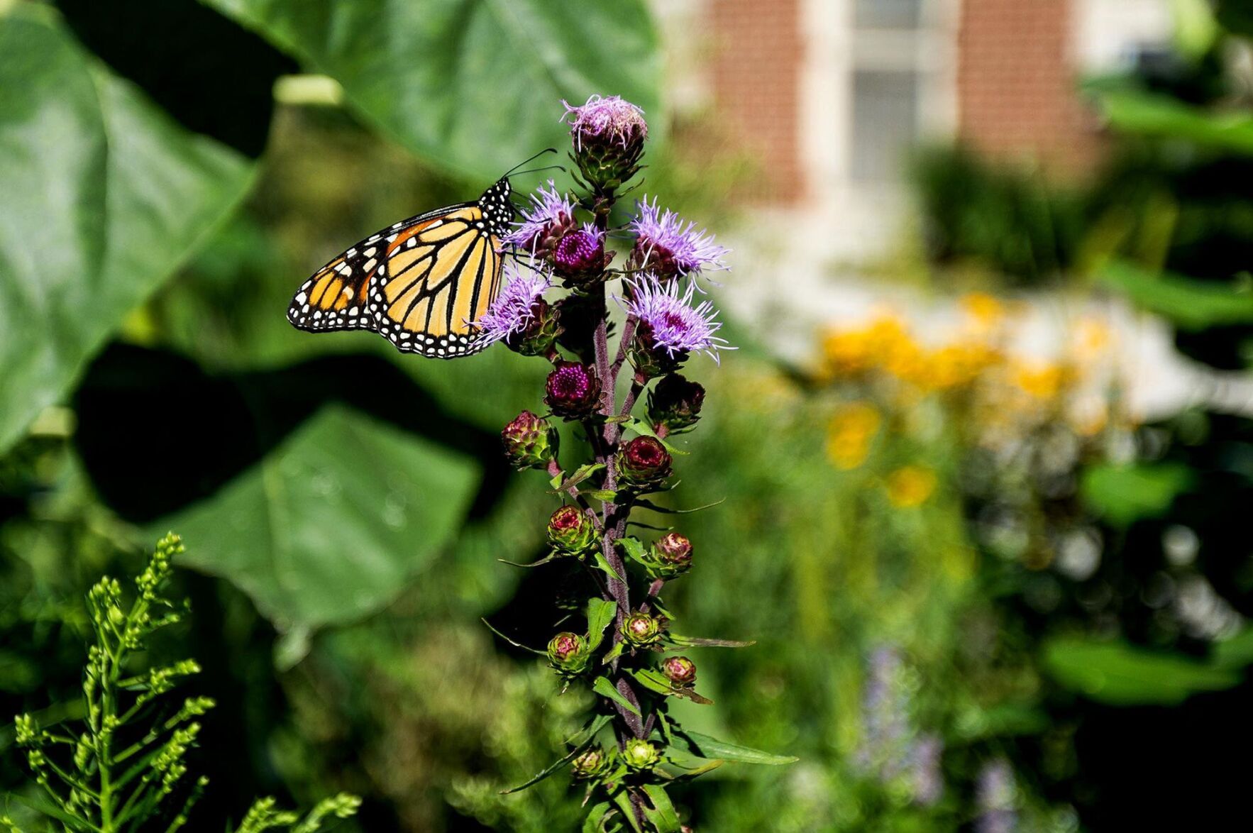 Secrets Of Longevity Found In Nature | Regional/National Headlines ...