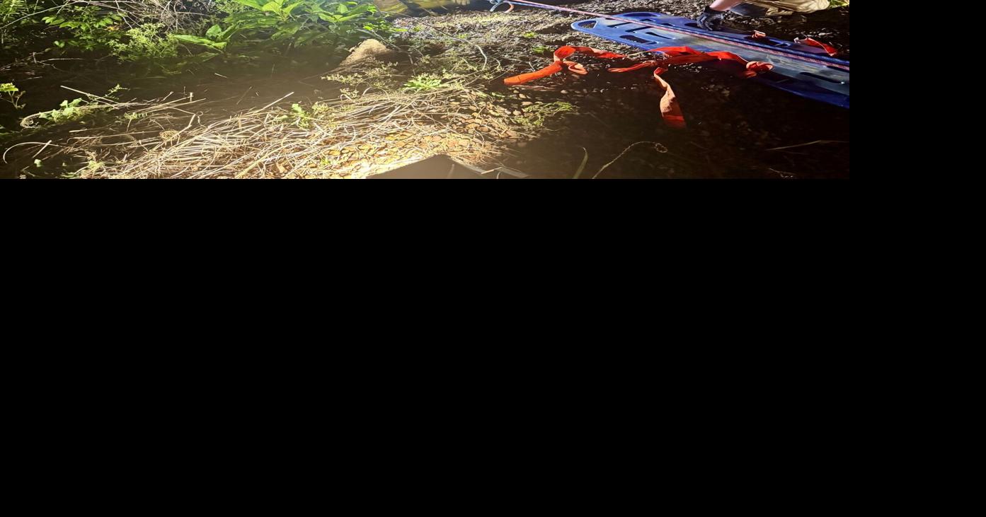 Chattanooga firefighters rescue 88-year-old man after 50-foot fall on ...