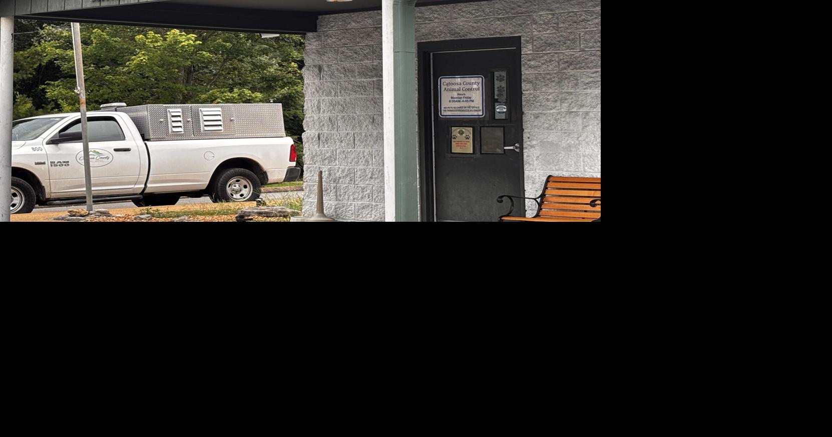 “We are over capacity, but we find ways to make more room” Animal shelters across the Tennessee Valley struggle with overpopulation