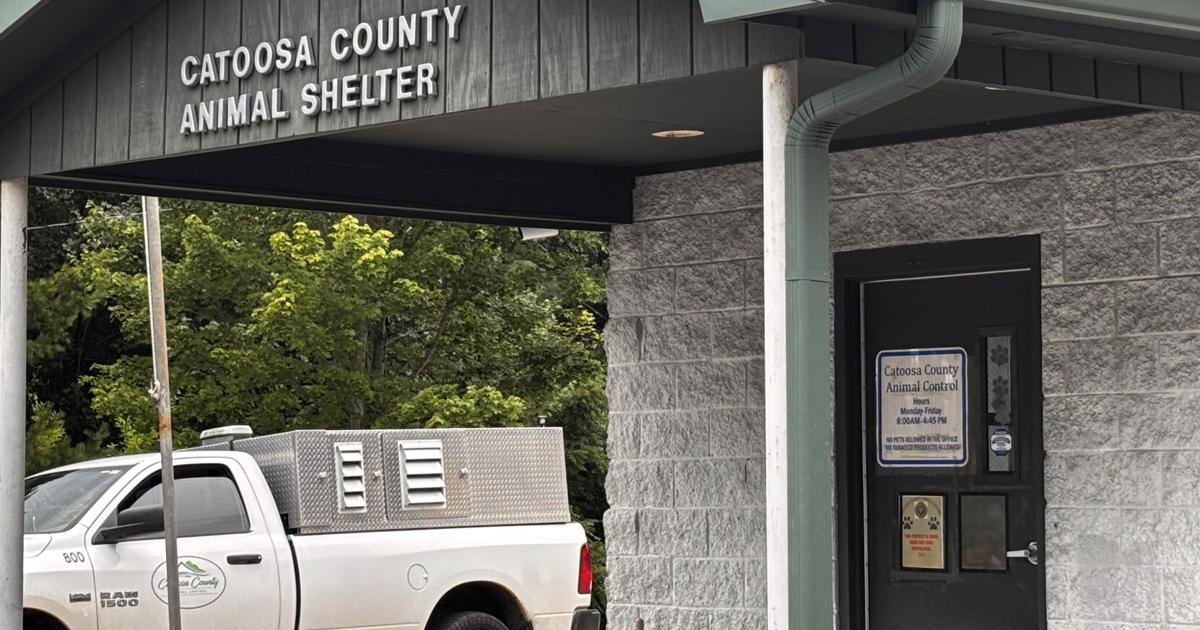 “We are over capacity, but we find ways to make more room” Animal shelters across the Tennessee Valley struggle with overpopulation