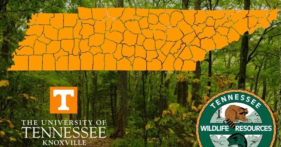 TWRA study shows they bring in nearly $5.8 billion in annual income for Tennesseans