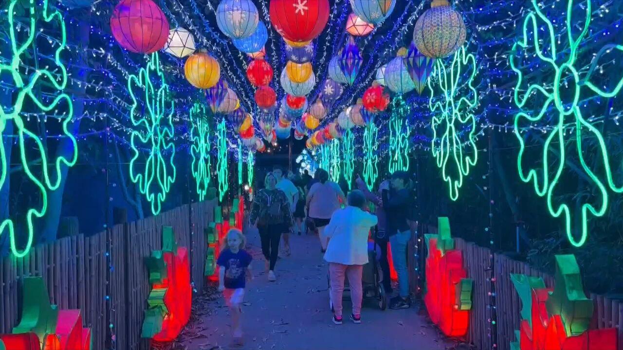 3 Plus Your Community- Chattanooga Zoo | Local 3 Plus You