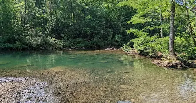 UPDATE: Latest WaterWays report shows elevated E.coli levels in Chattanooga swimming holes
