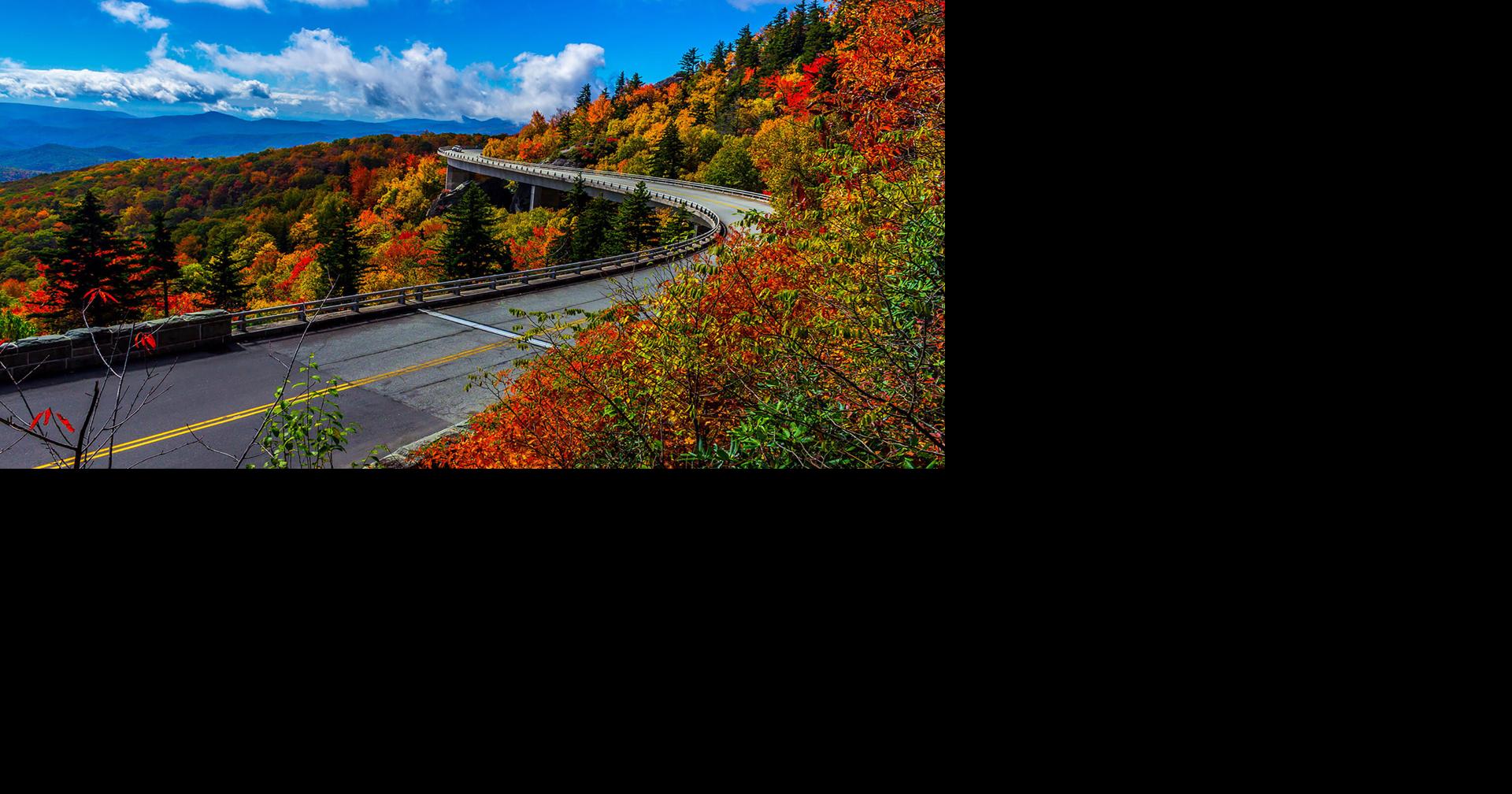 Section of Blue Ridge Parkway closed because visitors were ‘feeding and