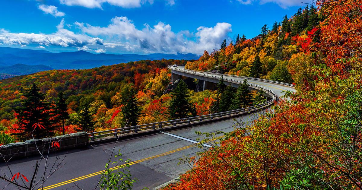 Blue Ridge Ohio Section of Blue Ridge Parkway closed because visitors were ‘feeding and ...
