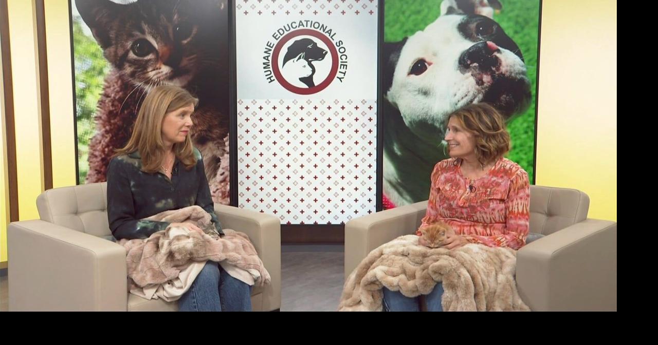 3 Plus Your Community- Humane Educational Society | Local 3 Plus You ...