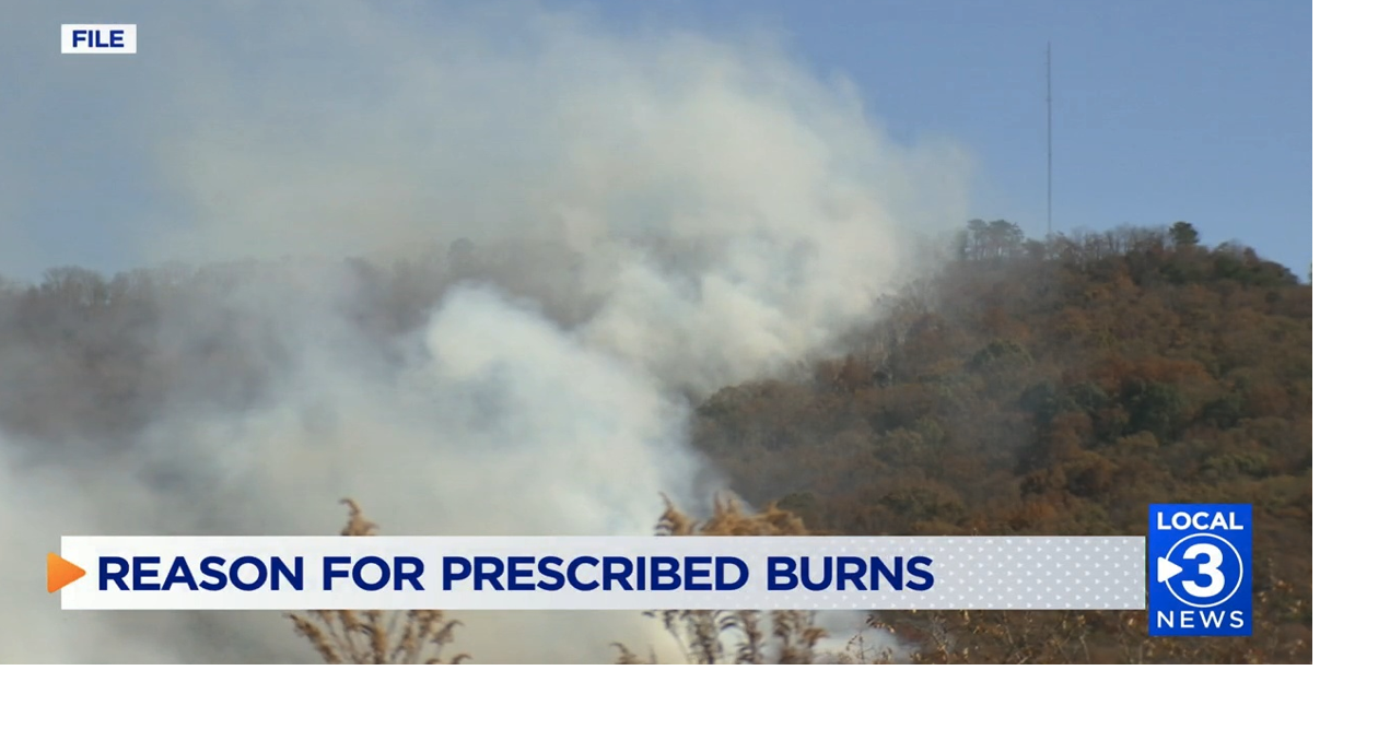 Prescribed Burns in North Georgia | Local News | local3news.com