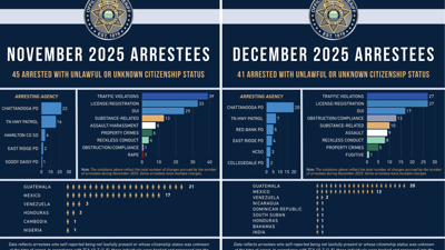 Tackling The Statistics Unpacking Hamilton County Tennessee Arrest Records