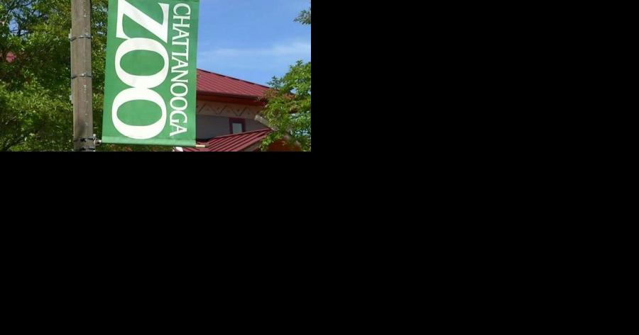 Chattanooga Zoo & public library team up to host Adventure Days event on Sunday - Vimarsana News