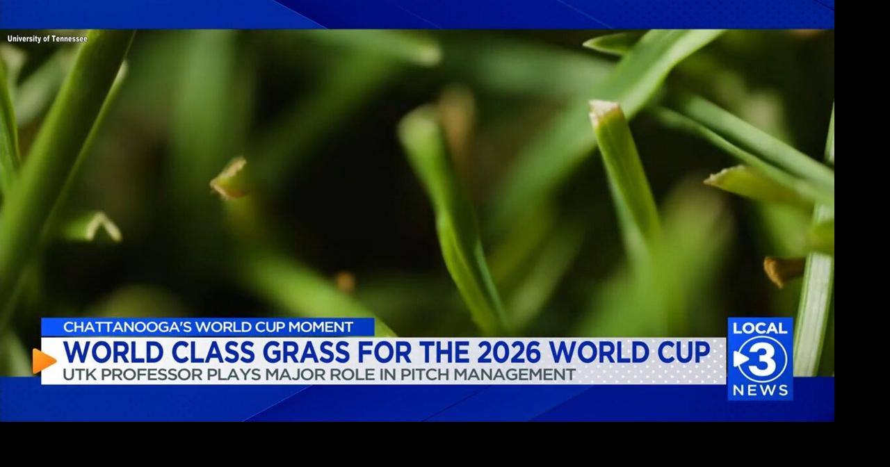 University of Tennessee professor has spent years researching grass science ahead of 2026 FIFA World Cup games