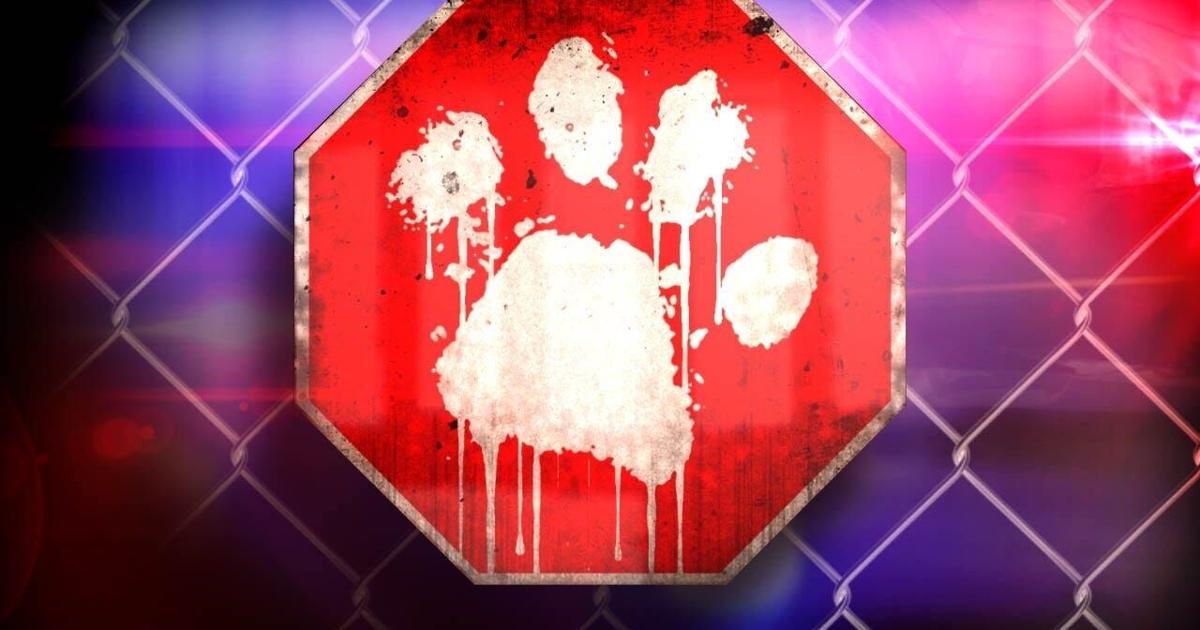 Chattanooga man arrested after cats found in hot van during animal seizure, assault on officers