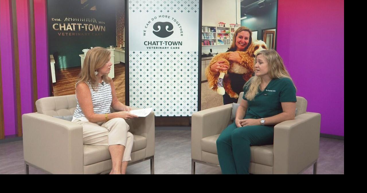3 Plus Your Pets- Chatt-Town Veterinary Care