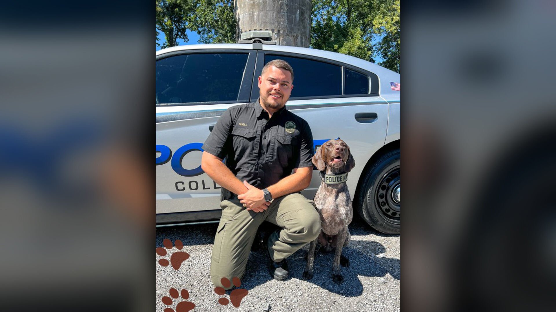 Collegedale PD K-9 Officer Catches Escaped Felon From Georgia During ...