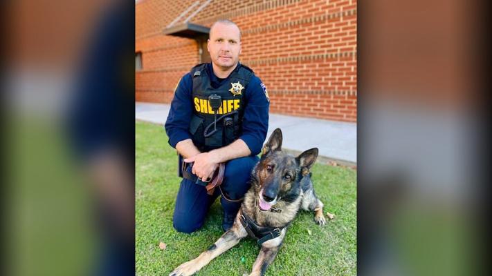 LOOKING BACK: One year after Bradley County K9 Deputy Joker shot in ...