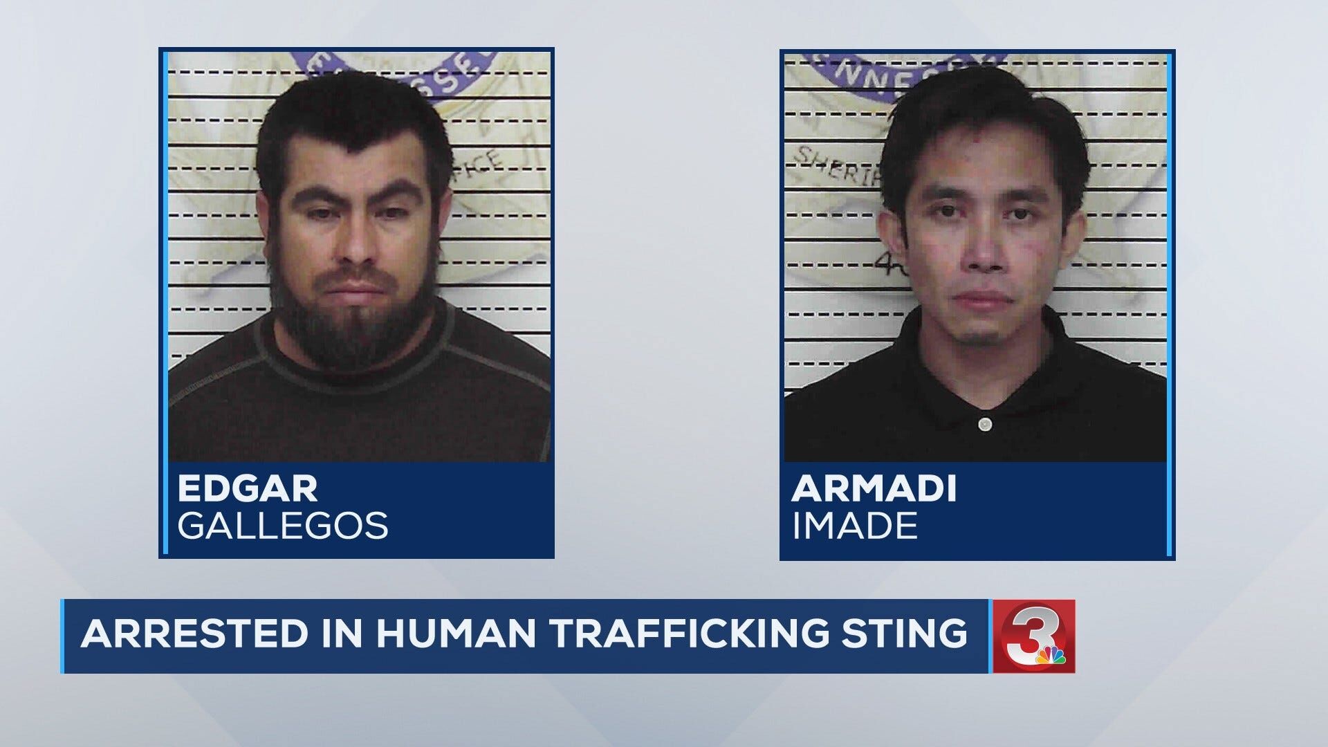 Two men arrested during human trafficking sting in Athens ...