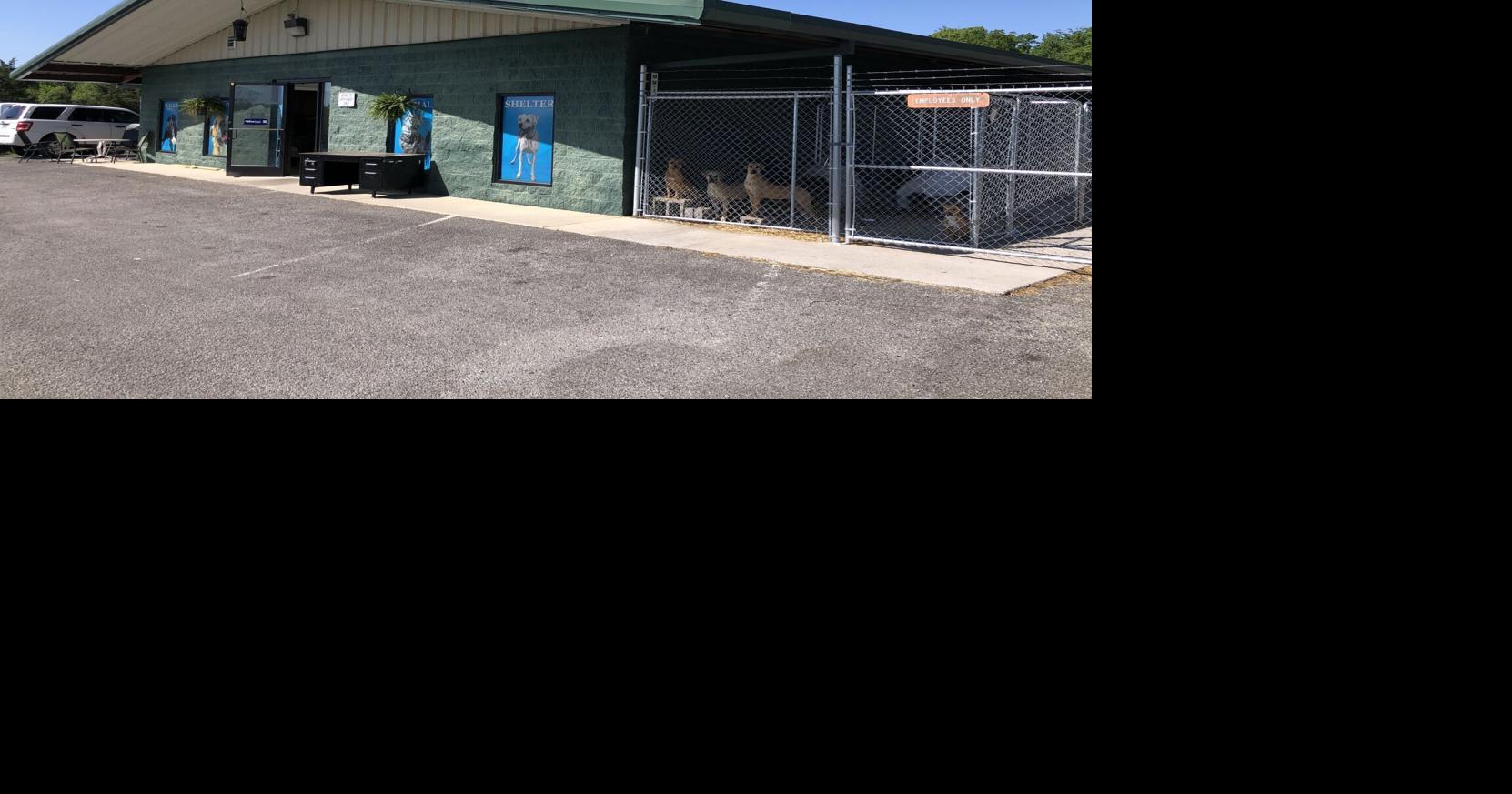 Walker County Animal Shelter waiving adoption fees