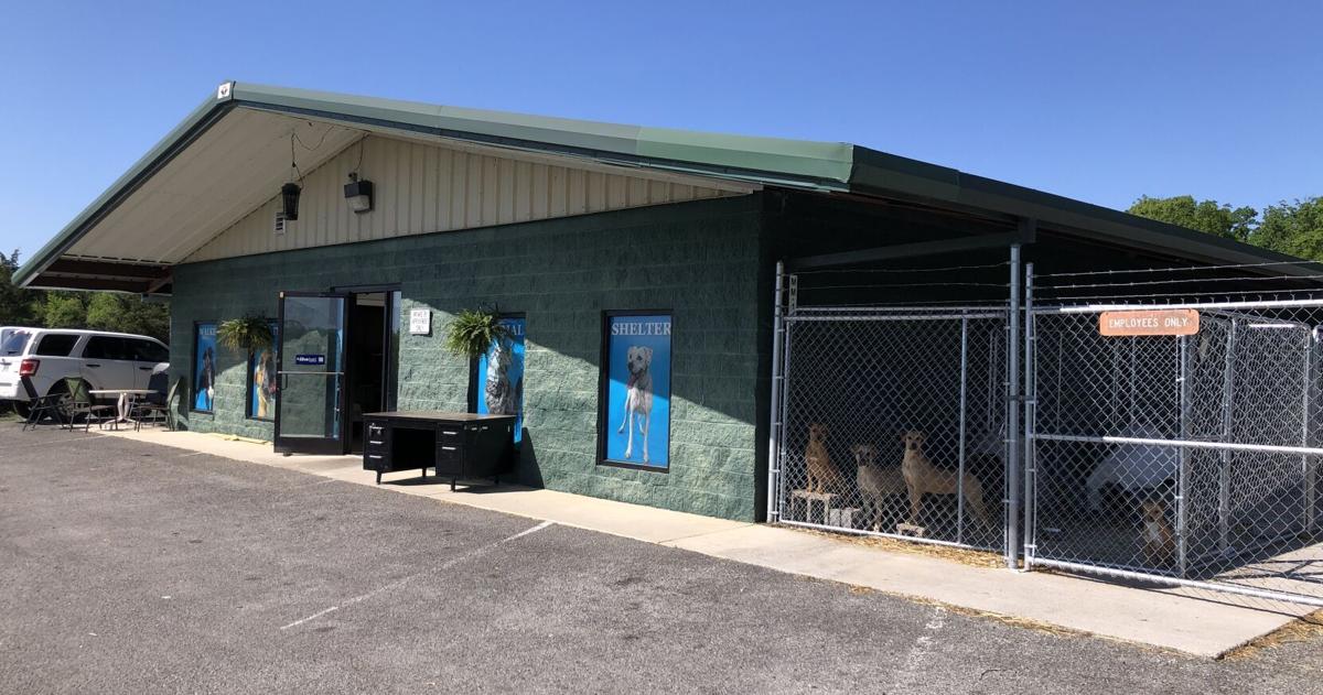 Walker County Animal Shelter waiving adoption fees