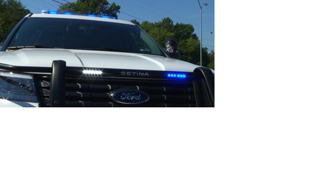 Search dogs find human remains in DeKalb Co, AL, sheriff's office says - Vimarsana News
