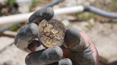 Archaeologists recover ancient 'fertility statuettes' from famed Tuscan hot springs