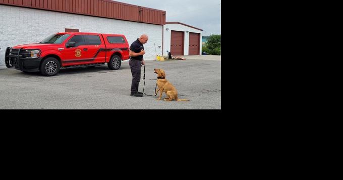 Meet Walker County's New Accelerant Detection Canine Team - Vimarsana News