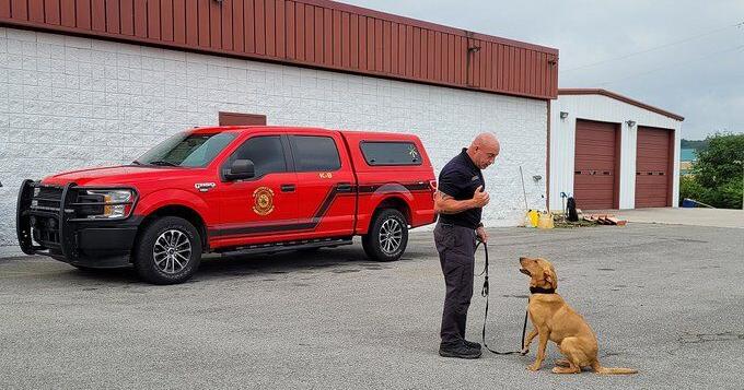 Meet Walker County's New Accelerant Detection Canine Team | Local News ...