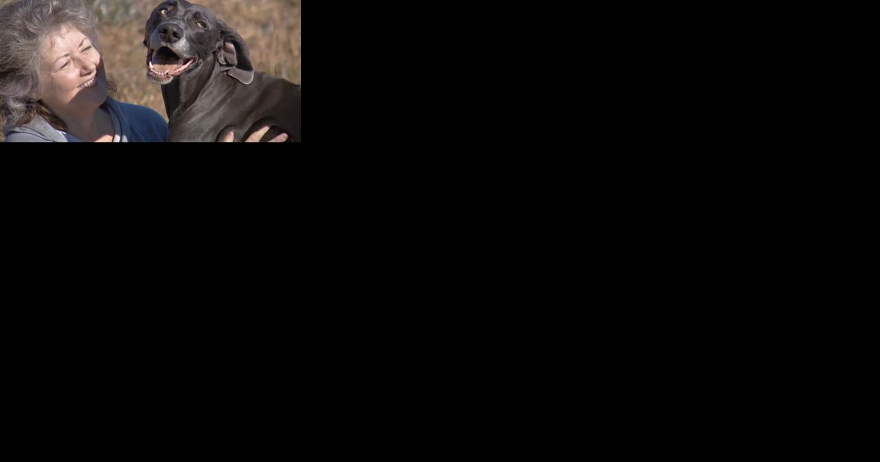 Marion County couple's dog spent two nights on cliff before she was rescued - Vimarsana News