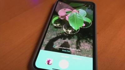 APP OF THE DAY: Identify thousands of plants using the 'Blossom' app | What  The Tech | local3news.com