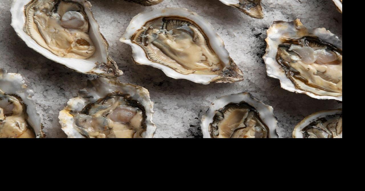Possible norovirus contamination prompts multi-state Manila clam, oyster recall