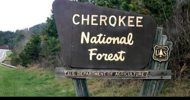 are dogs allowed in cherokee national forest