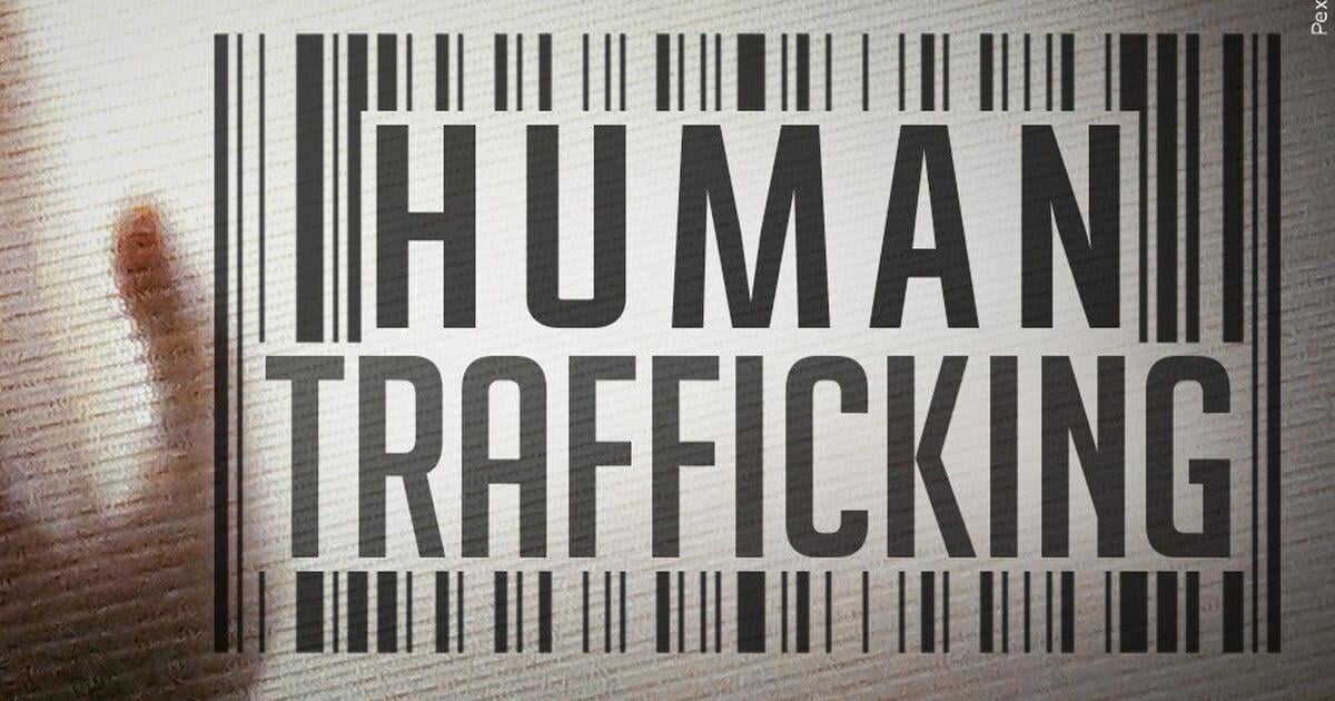 TBI arrests eight in Knoxville human trafficking operation | Local News ...