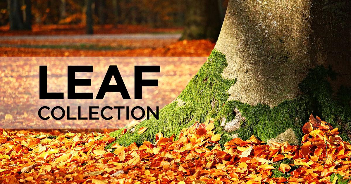Clean Weather November Loose-leaf collection to begin Nov. 2, with new litter clean-up | Local ...