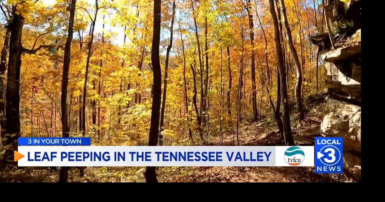 Best Fall Foliage Views at Edward's Point in Hamilton County | Local ...