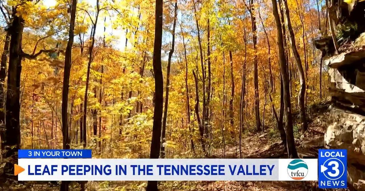 Hamilton Fall Color Best Fall Foliage Views at Edward's Point in Hamilton County | Local ...
