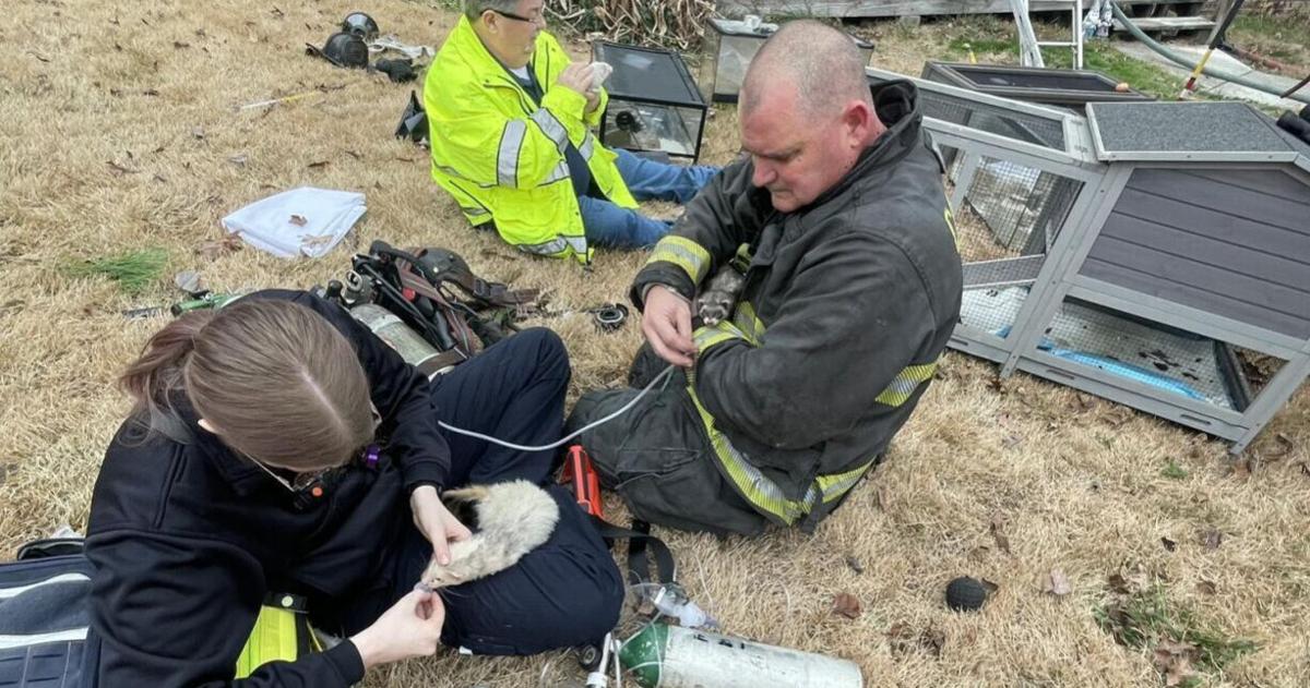 Catoosa County Firefighters Rescue Animals on Christmas | Local News ...