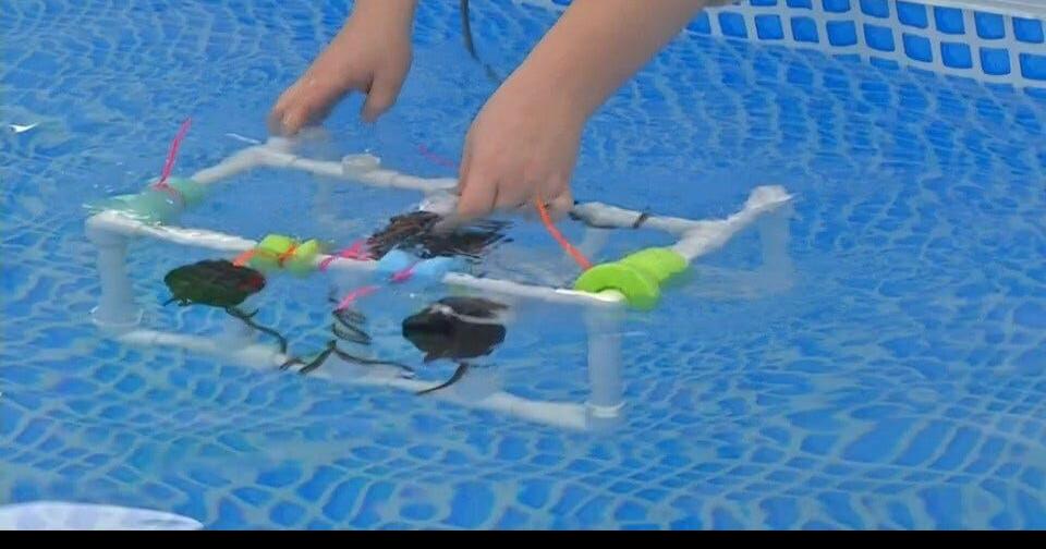 Introductory Underwater Robotics Educator Workshop – Tennessee