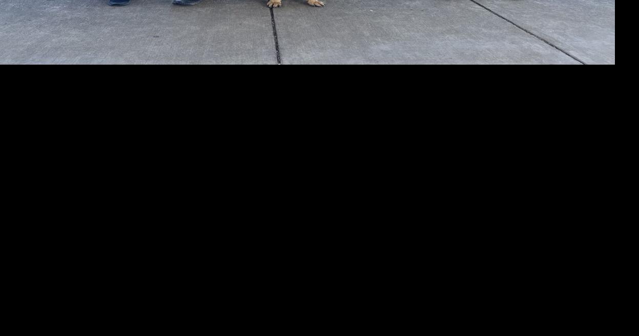 East Ridge PD K9 Quest turns three Local News