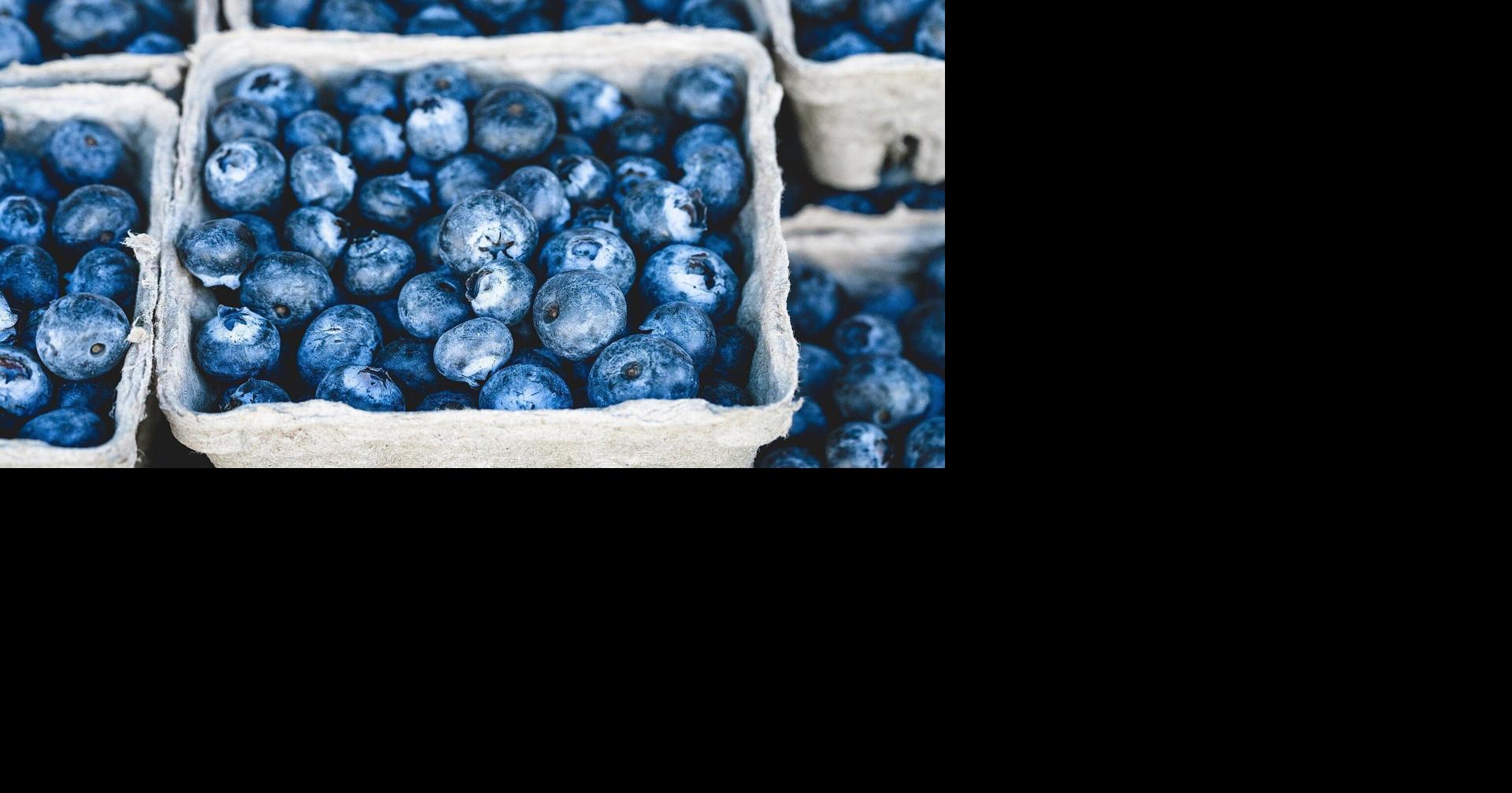 Frozen blueberries sold at Publix recalled over E. coli concerns